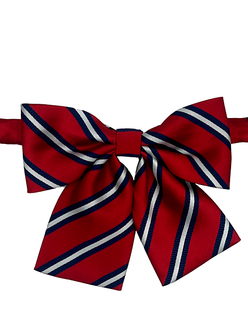  Галстук-бабочка  02-TBG0001